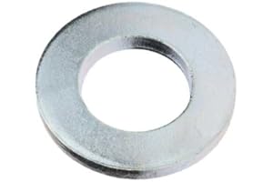 Reidl Scheiben für Bolzen 22 mm Stahl galvanisch verzinkt 10 Stück