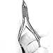 Footful Professional Large Stainless Steel Paronychia Nail Cutter Ingrown Toenail Ingrowing Nail Clippers---Silver