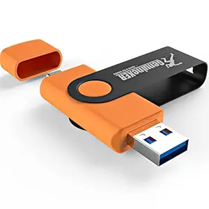 GenuineXER GXHD1 128GB Dual Flash Drive GXPM3.0 128GB Type C Pendrive with A+ BPAS Chip Type C Dual OTG 128GB Pendrive with exFAT Compatible with Smartphones/Tablets/Laptop/PC (Orange)