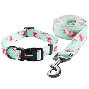 Ihoming Pet Collar Leash Set Halloween Bat Combo Safety Set for Daily Outdoor Walking Running Training Small Medium Large Dogs Cats Floral-Spring Small