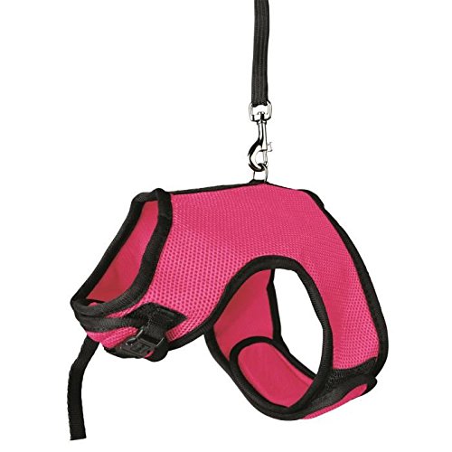 Preisvergleich Produktbild TRIXIE Harnais doux avec laisse - Pour grand lapin