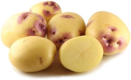 Loose Picked Kestral Seed Potatoes 1kg