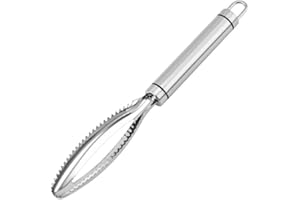 QHFlashbuy Fischentschupper,Fischentschupper Edelstahl,Profi Fisch Scaler Scraper,Fischschaber für Küche Fisch KüChenhelfer(25 * 3.7cm)