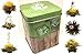 Produktbild 6er-Dose Grüntee-Teeblumen"Green Zen" - Teerosen/Teeblüten in edler Probier- und Geschenkdose, inkl. Bedienungsanleitung, hochwertigster grüner Erblühtee mit echten Blüten …
