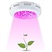 Produktbild BESTVA 300W Dual Chips Pflanzenlampe LED Grow Lampe Pflanzenlicht Wachstumslampe Vollspektrum für Treibhaus Zimmerpflanzen Hydrokultur Gemüse und Blumen
