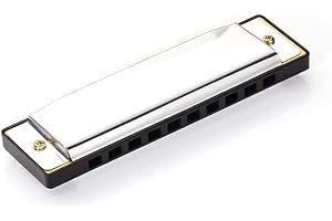 WYJUAN 10 Holes 20 Tones Diatonic Harmonica Key of C with Blue Case,Rock w Case Stainless Steel Silver Color Diatonic Harmonica Harmonicas