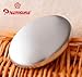 Premsons Magic Soap Odour Remover Stainless Steel Soap Easiest Way to Remove Smells Like Onion, Garlic, Fish, and Other Strong Scents from Hands and Skin (Pack of 1) RS.289.00
