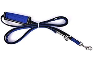 Puppia PLRA-AL9323-RB-L Royal Blue Trek Lead Pet-Leashes, LARGE