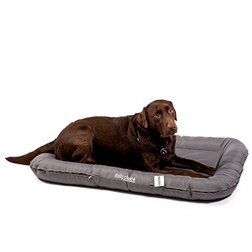 daily choice | Gipfelstürmer Active | Gr. M