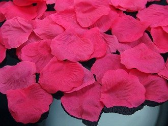 100 Rosenblätter aus Stoff pink fuchsia Hochzeit Streublumen Blumenkinder Rosenblüten Tischdeko