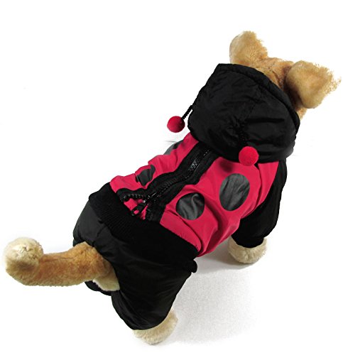 Preisvergleich Produktbild Evergreens Stereo Hunde-Windjacke, Marienkäfer-Design M