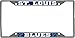 NHL St. Louis Blues License Plate Frame, 6.25" x 12.25"/Small, Black RS.3547.00