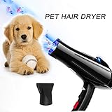 Kraftvoll und stabil: Dieser Trockner verfügt über eine Leistung von 2.800 Watt und einen hochwertigen Motor, der einen gründlichen und professionellen Trocknungsprozess für Haustiere ermöglicht, ideal für das Stylen von Hunden