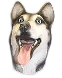 Talla única. The Rubber Plantation TM 619219293457 - Máscara de látex siberiano para perro, diseño de lobo de malamuto, para Halloween, Huskie