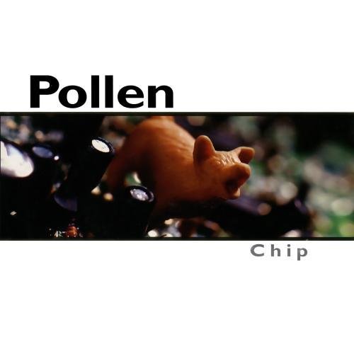 Preisvergleich Produktbild Chip by Pollen (2000-02-22)