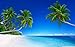 Produktbild GREAT 3D ART Fototapete - Palm Trees Beach Dekoration Karibik Bay Paradise Nature Island Palms tropischen Wallpaper Fototapete