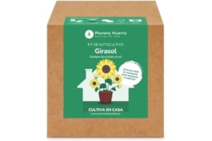 PLANETA HUERTO BONSÁI PLANETA HUERTO | Kit de Autocultivo Girasol Planeta Huerto – Cultiva tus Propios Girasoles en Casa de Forma Fácil y Natural