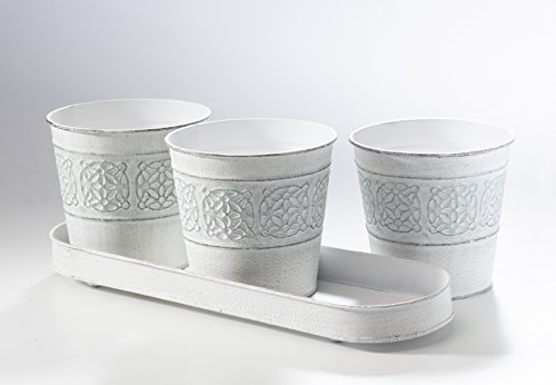 Blumentopf, Kräutertopf, Übertopf, Metalltopf - 2