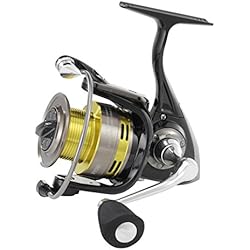 Ryobi vernum 3000 5 + 1