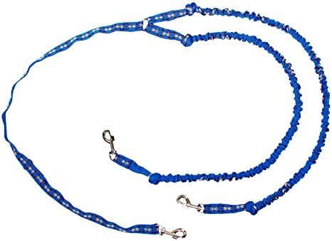 Double Lead with Integrated Shock Absorber for 2 Dogs