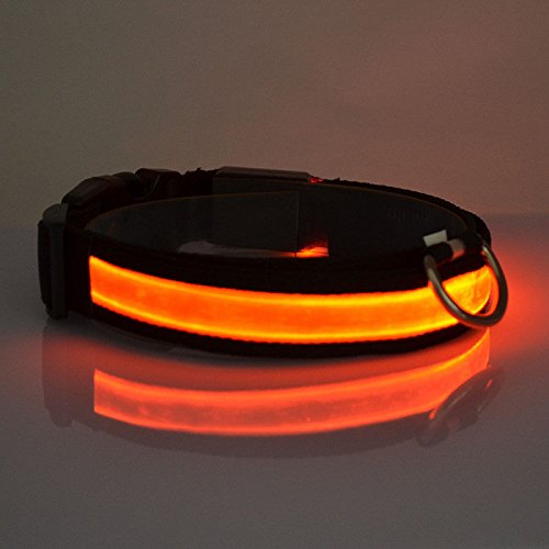 DOG-COLLAR-pet-LED-light-up-flashing-luminous-night-safety-coloured-bright-VARIOUS-COLOURS-AVAILBLE-UK-SELLER