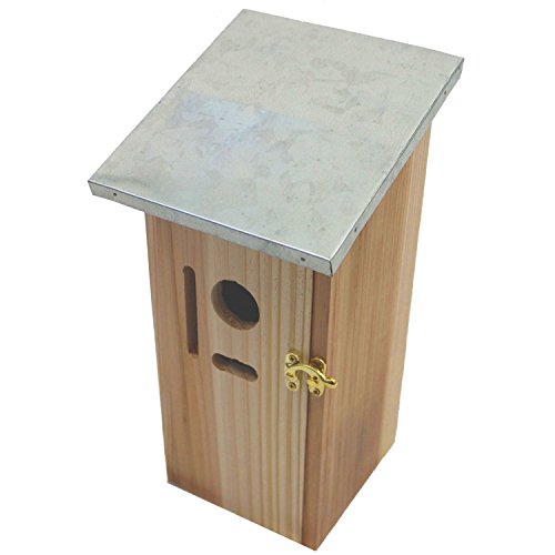 Nistkasten 30 x 14 x 12 (H x T x B) aus naturbelassenem Kiefernholz für kleine Vögel, mit seitlicher Öffnung, Plexiglas und verzinktem Metalldach - 2