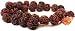 PTM Certified Natural 100% Original Rudraksha Mala With Certificate of Authenticity-1820 RS.650.00