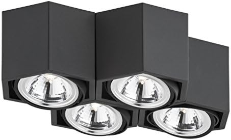 Modern Ceiling Light Fitting/LED Espresso 1624 Argon