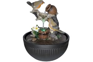 DNAAZ Radiant Robins Water Feature Home Decor Indoor Nature's Beauty