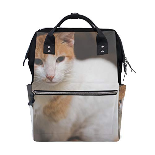 Preisvergleich Produktbild Nette verärgerte traurige unglückliche Katze Schönheits Tierkörper große Kapazität Windel bauscht sich Mummy Rucksack multi Funktionen