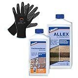 aliexpress zoll 500 ml Flechtenentferner Hauswerk.shop Lithofin ALLEX Grünbelagentferner 1 Liter + 500 ml MN Flechtenentferner + Arbeitshandschuhe