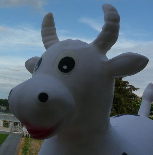 Hüpftier Hüpfkuh kuh in weiß - 3