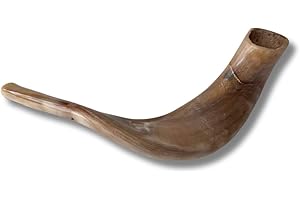 Spring Nahal Schofar: Authentischer und koscherer polierter Ramhorn-Schofar aus Israel (30,5 cm – 35,6 cm)