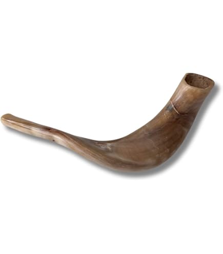 Shofar De Cuerno Natural Juego Completo 51-56 Cm | Meses Sin Interés