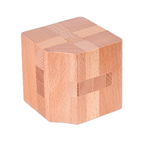 KINGOU 6 Packed Wooden Puzzles IQ Challenge Puzzle Set Brain Teasers Logic Puzzles Interlocked Toys, Adult / Kids