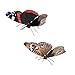 Produktbild Metal Earth Fascinations Butterfly - Red Admiral und Buckeye 3d Metall Puzzle, Konstruktionsspielzeug, Lasergeschnittenes Modell