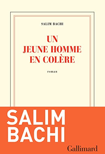 couverture de : Un jeune homme en col&egrave;re