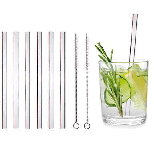 KaraLuna Lot de 6 pailles en Verre + 2 brosses de Nettoyage I 15 cm de Longueur I Droite I Transparent I Home