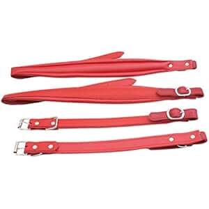 Suchergebnis auf Amazon.de für: AKKORDEON - Wohnaccessoires & Deko