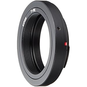 Reptiles Planet Habitat-Dekoration Crane-Dinosaurier Skull 22x 11x 12,5cm