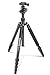 Price comparison product image Manfrotto Element Big Traveller Tripod with Ball Head - Black