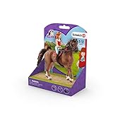 Cayenne, der Wallach kommt mit Zaumzeug