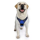 Selección del tamaño: Ofrecemos 4 diferentes tamaños-S,M,L,XL. Favor seleccionar uno según las circunferencias del cuello y el pecho de su perro.