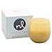 Produktbild Northern Lights Candles Duft Palette Handwerker Kerze 8oz Baumwolle Blossom & Cornus