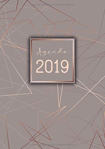 Download Agenda: Semainier - Petit Format A5 - Gris Ligne Rose Or - Calendrier Janvier à Décembre