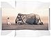 Produktbild Boy reading to elephant (fold out book) (Ashes and Snow Posters)