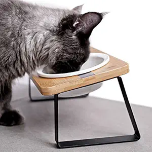 Elevated Cat Ceramic Bowls Stand, Small Dog, 15? Tilted Feeding Position, Full Bamboo Body Stand with Food Grade, Dishwasher Safe Bowl for Cats and Puppy