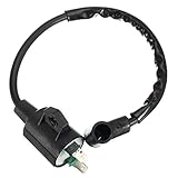 Material: Stahl & Gummi JenNiFer Zündung Spulen Ersetzt Für Pulsar Pg1202S 72Cc 900 1200 Watt Gasoline Generator