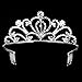 PIXNOR Wedding Prom Bridal Crown Rhinestone Crystal Decor Headband Veil Tiara (Sliver)