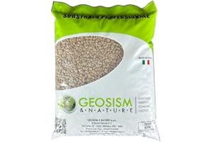 GEOSISM & NATURE – Pomice per piante, pomice vulcanica, per floricoltura e giardinaggio, ideale per vasi, orto e bonsai (2/4 mm - Singolo - 1KG)